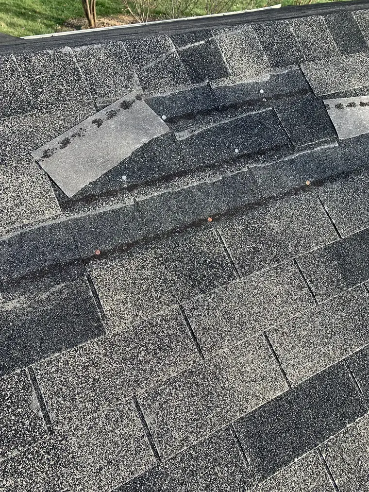 Wind lifted and creased shingles found during a roof assessment